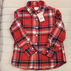 Crewcuts Kids Red and Blue Plaid Button Down Shirt